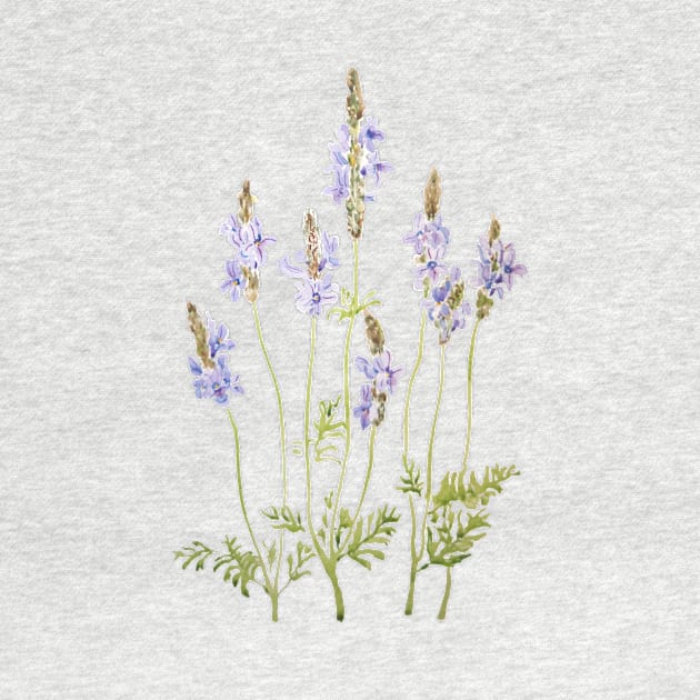 purple fernleaf lavender watercolor by colorandcolor